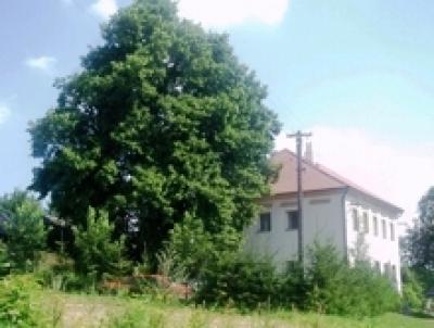 Stará pošta - Svratouch Stará pošta - ubytování Svratouch